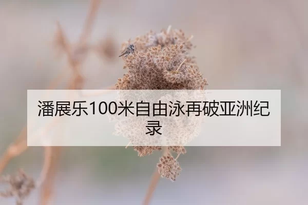 潘展乐100米自由泳再破亚洲纪录