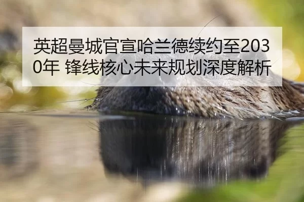 英超曼城官宣哈兰德续约至2030年 锋线核心未来规划深度解析